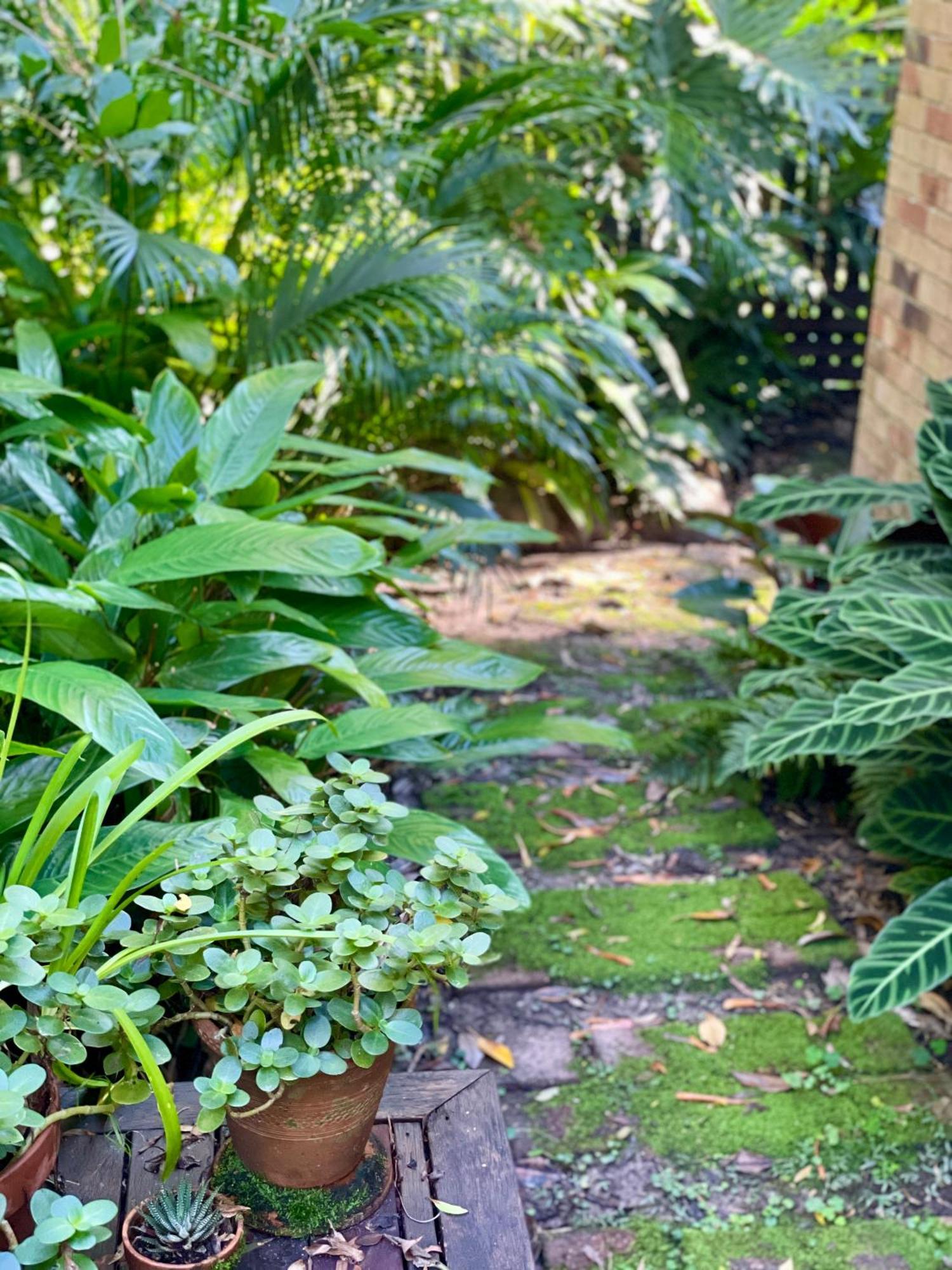 Lilli Pilli Guesthouse Byron Bay Esterno foto